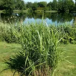 Daire Landromantik Mit Traumhaftem Seeblick By Interhome *