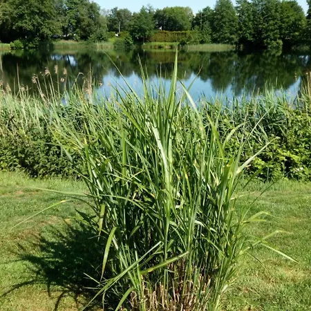 Appartamento Landromantik Mit Traumhaftem Seeblick By Interhome *