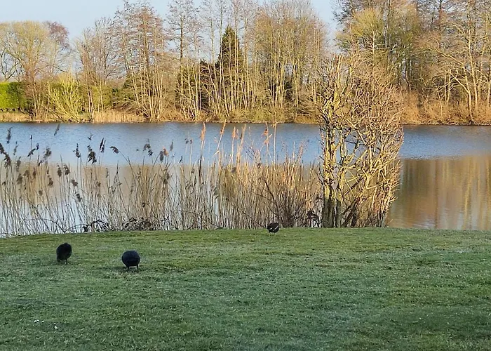 Appartamento Landromantik Mit Traumhaftem Seeblick By Interhome Westerholt (Lower-Saxony)