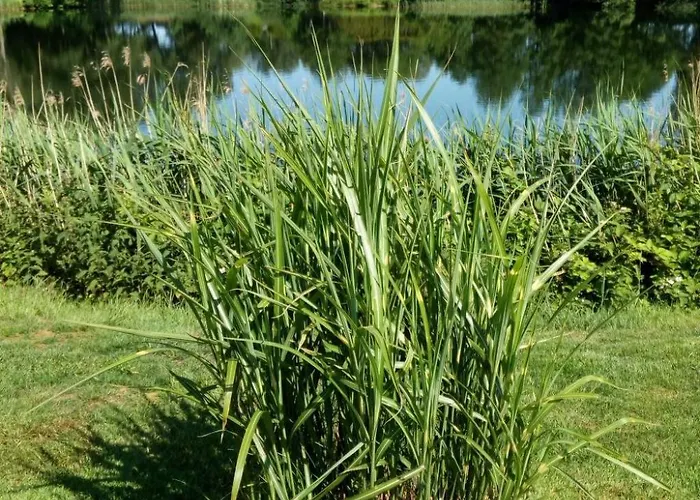 Appartamento Landromantik Mit Traumhaftem Seeblick By Interhome *